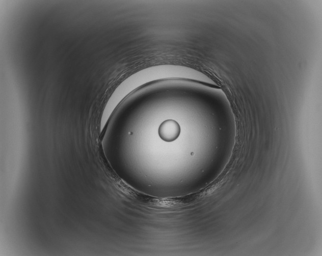 X0000116320336200912091024