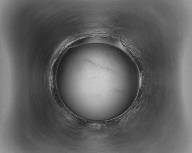 X0000116320339200912091023