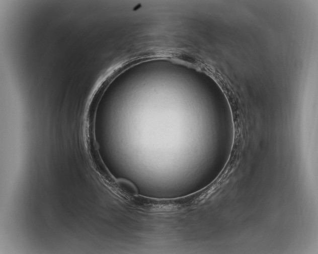 X0000116320342200912091023