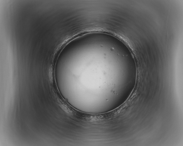 X0000116320345200912091023