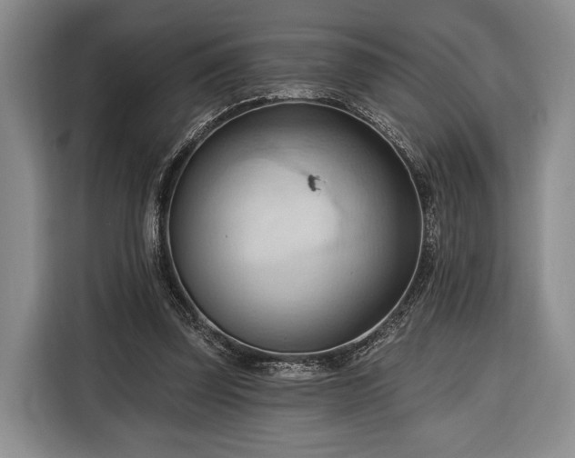 X0000116320347200912091024