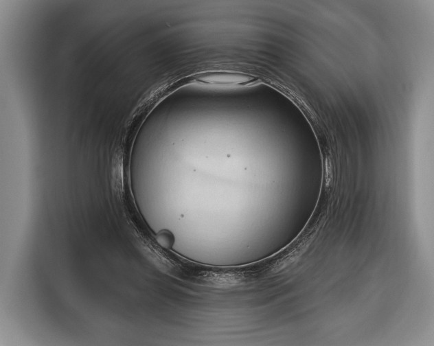 X0000116320349200912091024