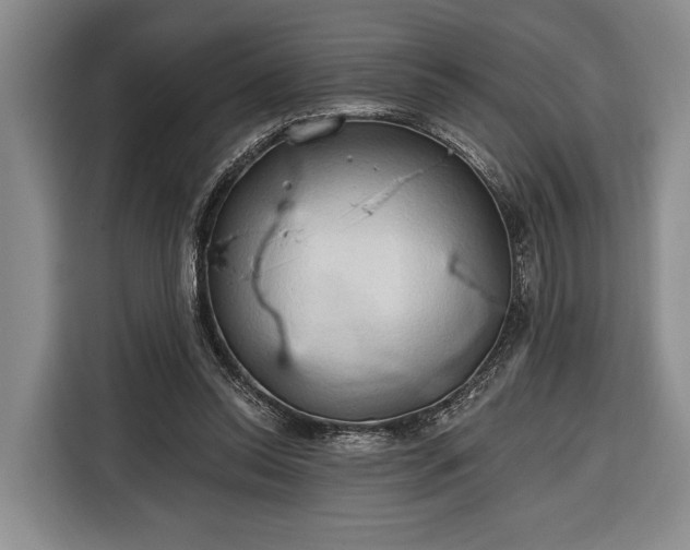 X0000116320350200912091024