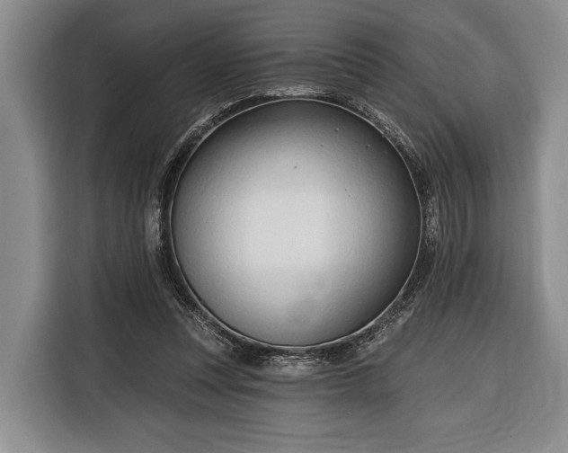 X0000116320351200912091024