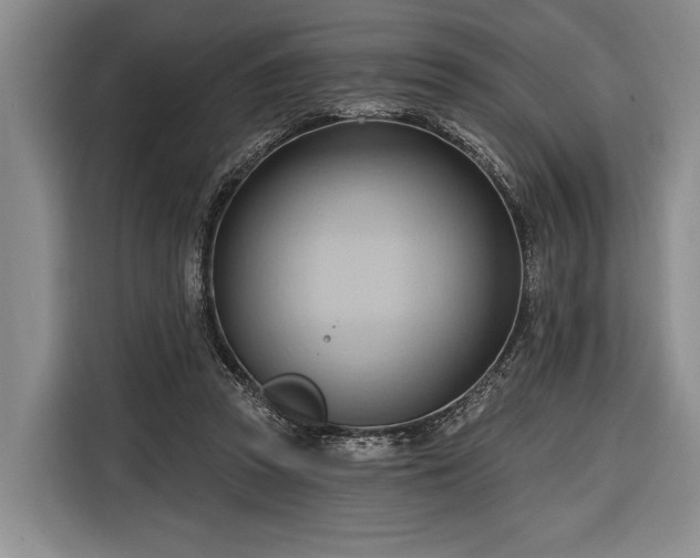 X0000116320353200912091024