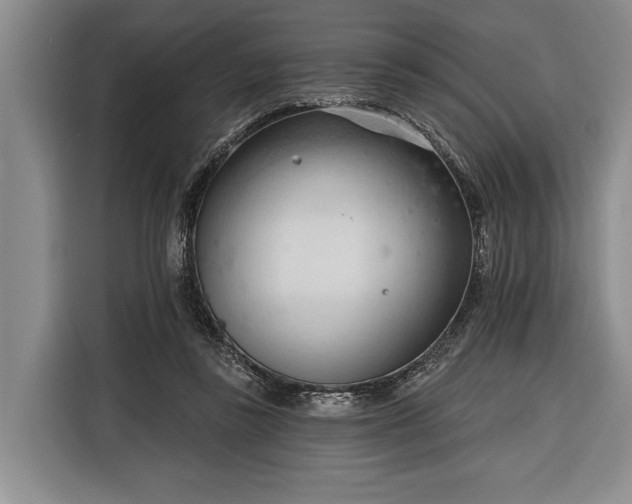 X0000116320355200912091024