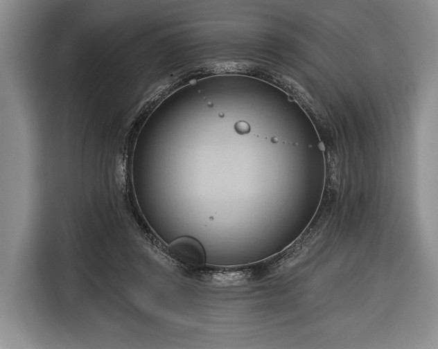 X0000116320357200912091024