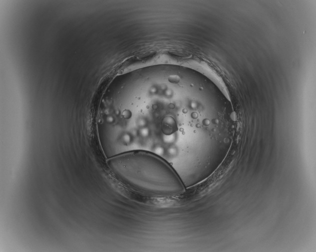 X0000116320359200912091024