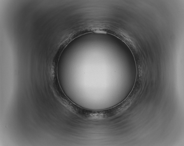 X0000116320362200912091024