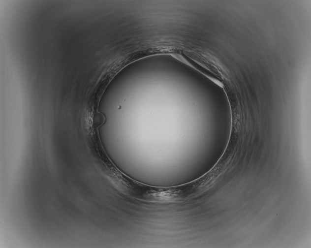 X0000116320365200912091024