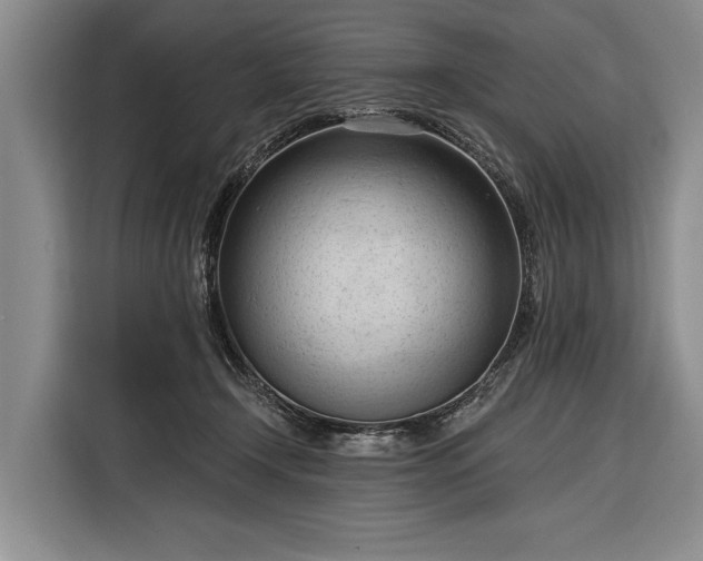 X0000116320366200912091024