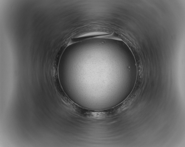 X0000116320371200912091024