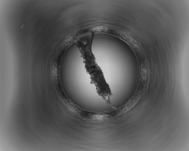 X0000116320375200912091024