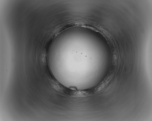 X0000116320379200912091024