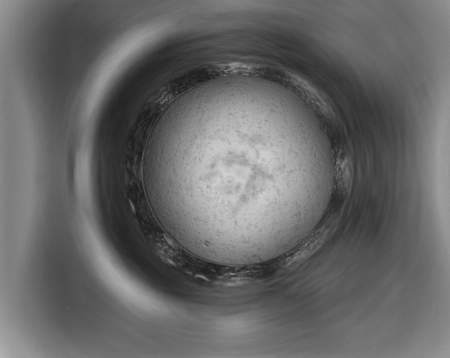 X0000116320381200912091024