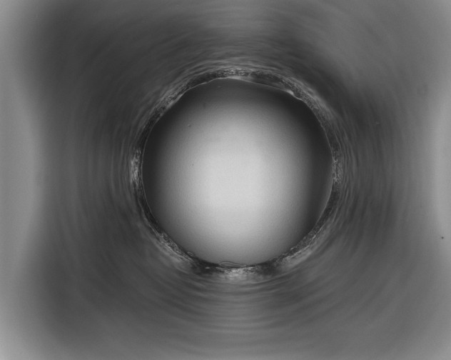 X0000116320382200912091024