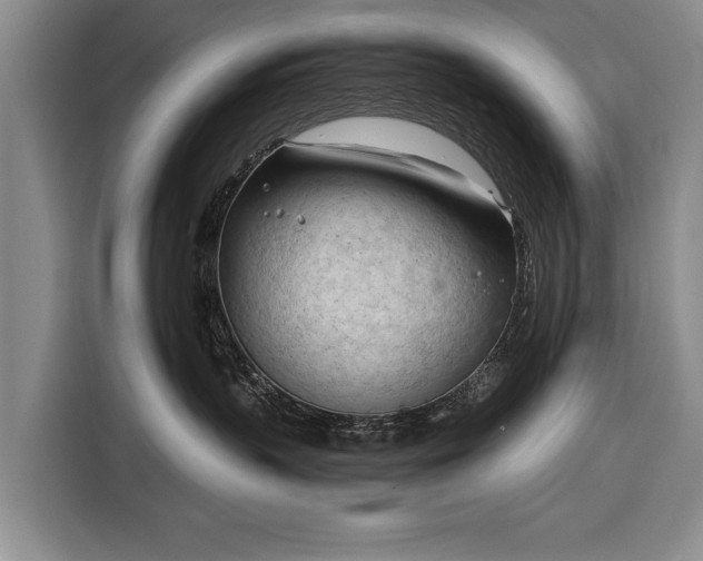 X0000116320383200912091024