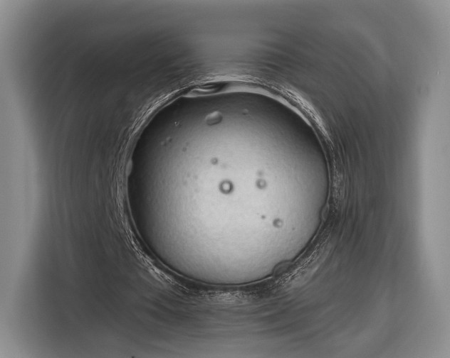 X0000116320385200912091023