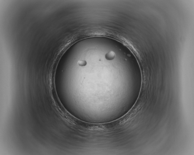 X0000116320386200912091023