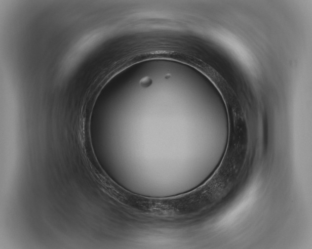 X0000116320387200912091023