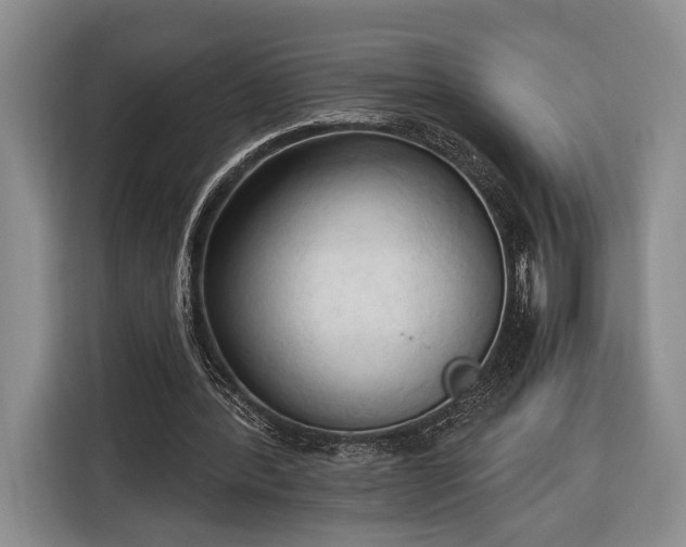 X0000116320388200912091023