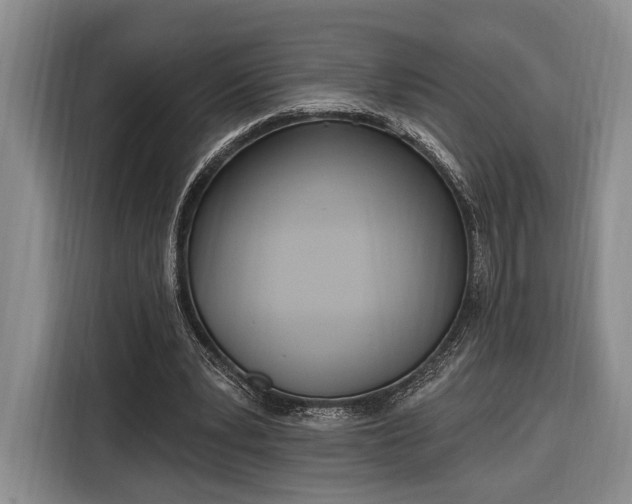 X0000116320391200912091023