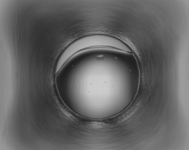 X0000116320393200912091023