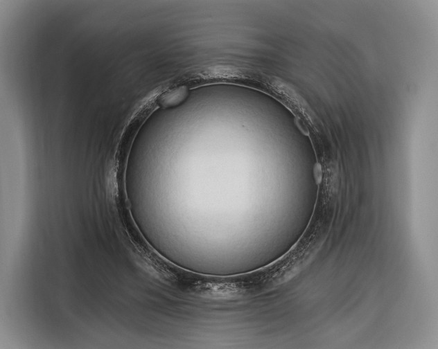 X0000116320395200912091023