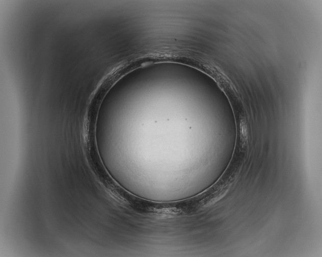 X0000116320396200912091023