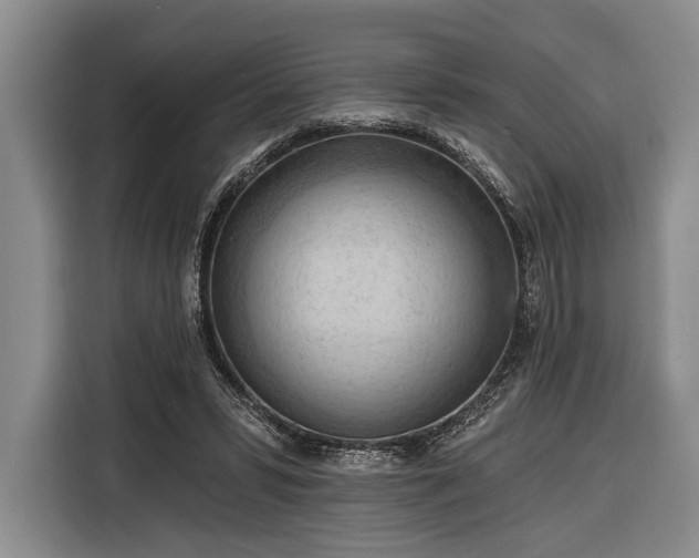 X0000116320399200912091023