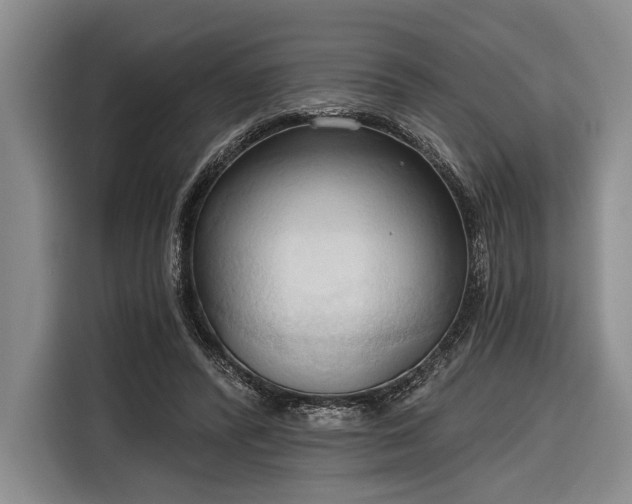 X0000116320400200912091023