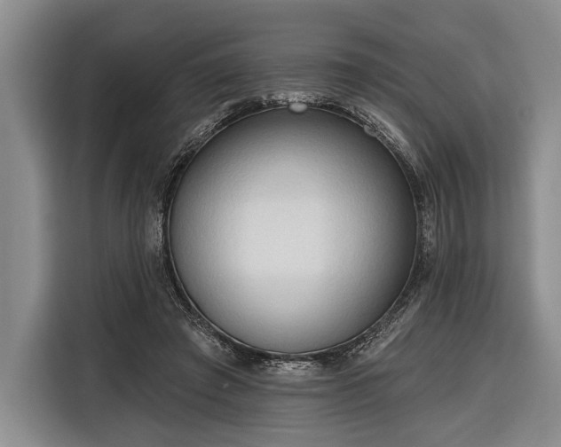 X0000116320401200912091023