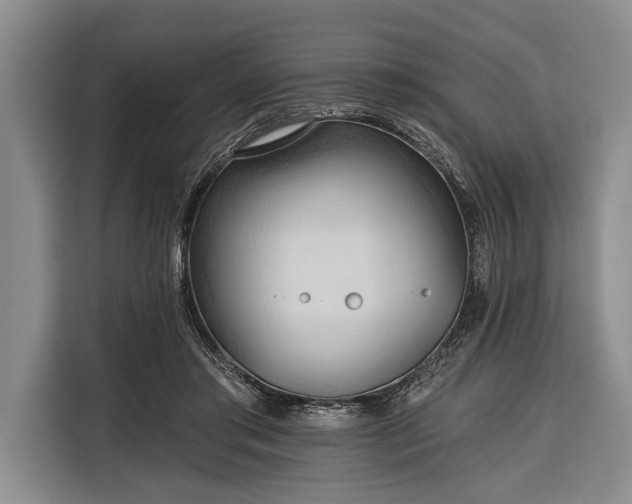 X0000116320405200912091023