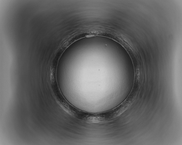 X0000116320408200912091023