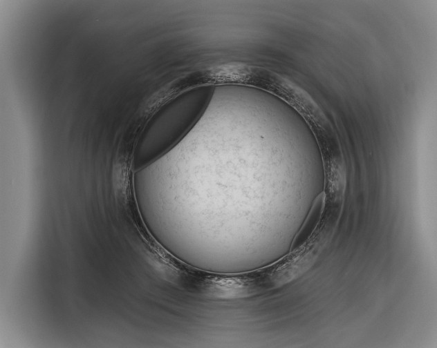 X0000116320409200912091023