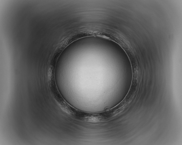 X0000116320412200912091023