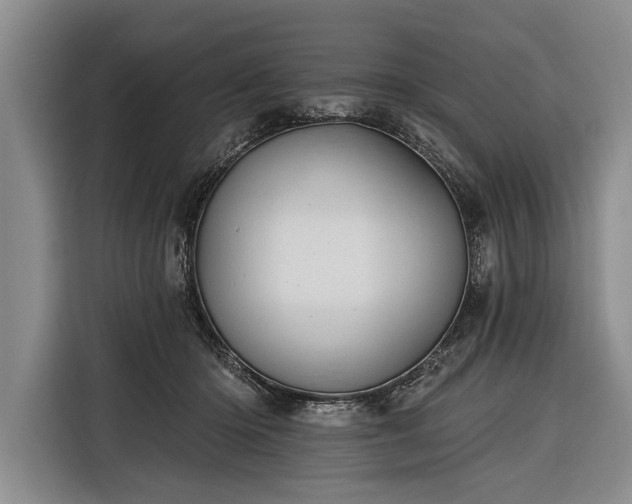 X0000116320414200912091023