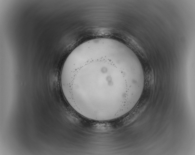 X0000116320415200912091023