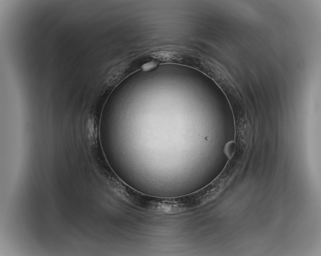 X0000116320420200912091023