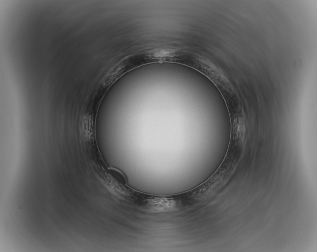 X0000116320421200912091023