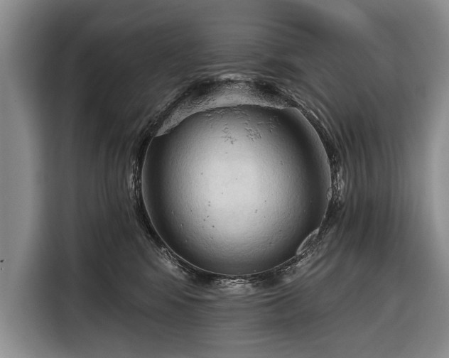 X0000116320424200912091023