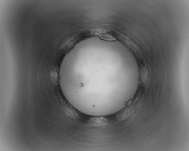 X0000116320427200912091023