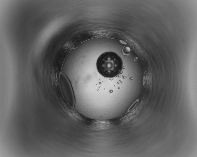 X0000116320429200912091023