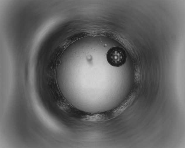 X0000116320430200912091023