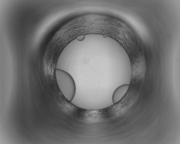 X0000116320431200912091023