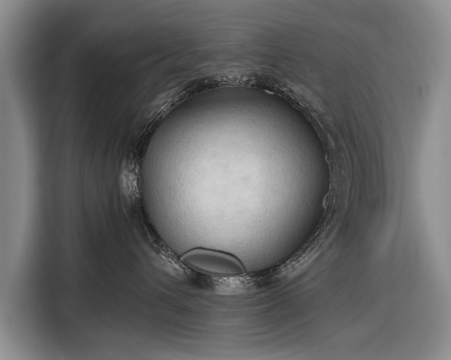 X0000116320432200912091023