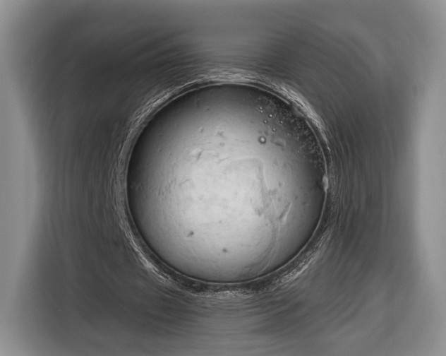 X0000116320433200912091022