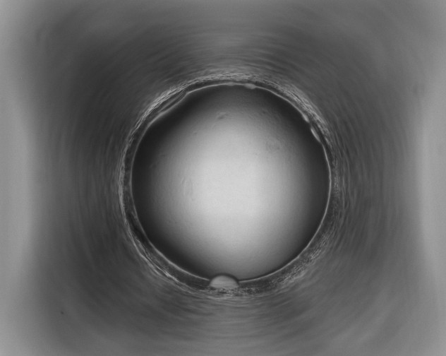 X0000116320434200912091022