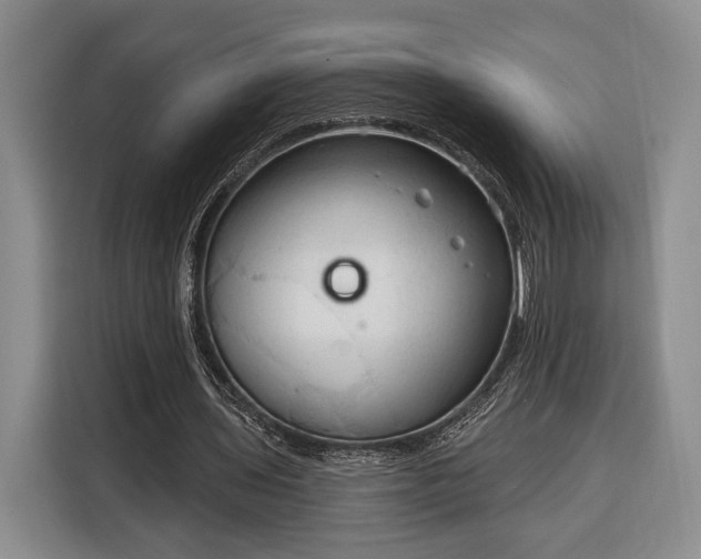 X0000116320435200912091022