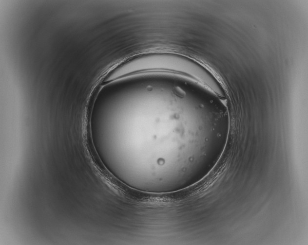 X0000116320437200912091022